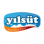 Yılsüt